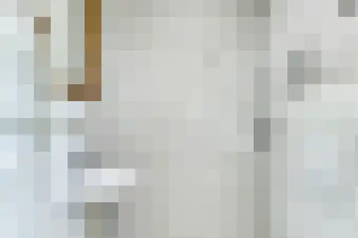 Wilhelminalaan 8 Harfsen thumbnail 26