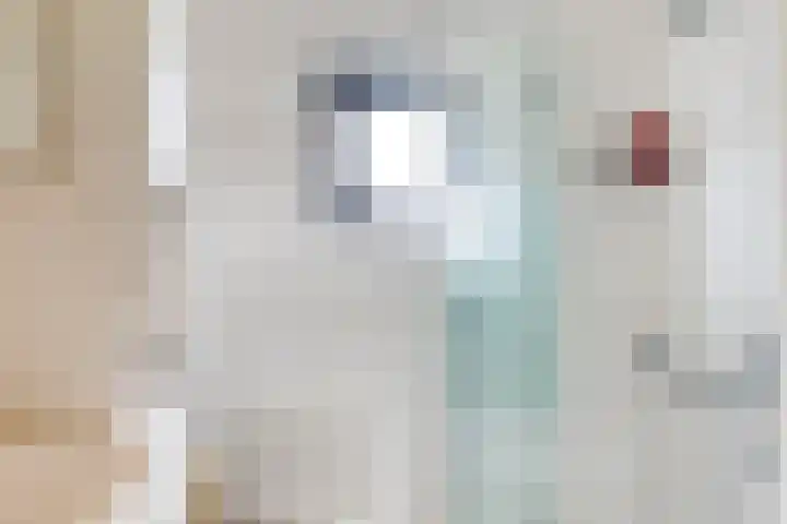 Wilhelminalaan 8 Harfsen thumbnail 27