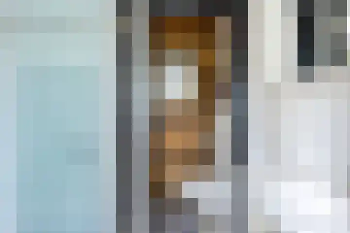 Wilhelminalaan 8 Harfsen thumbnail 28