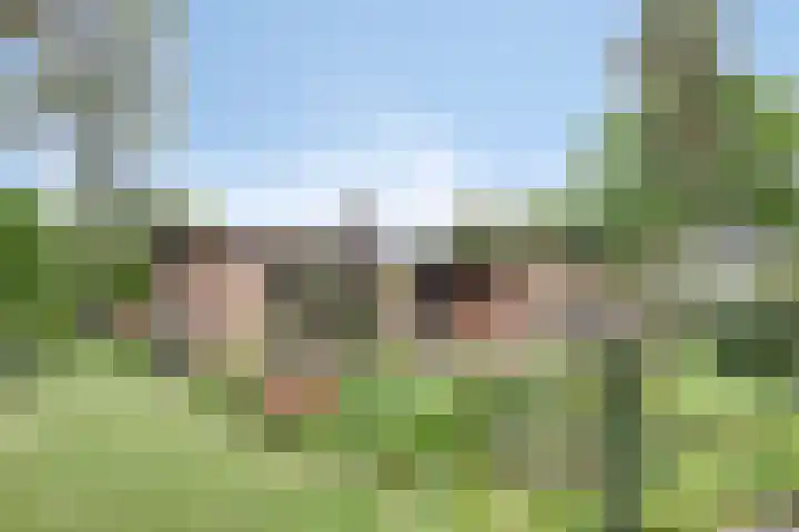 Wilhelminalaan 8 Harfsen thumbnail 30