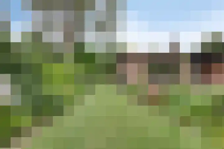 Wilhelminalaan 8 Harfsen thumbnail 31