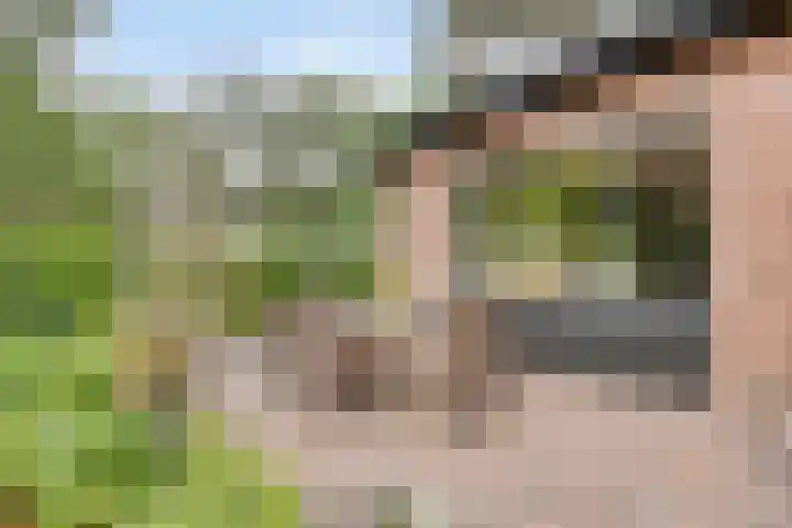 Wilhelminalaan 8 Harfsen thumbnail 32