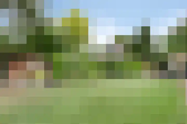 Wilhelminalaan 8 Harfsen thumbnail 33