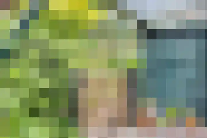 Wilhelminalaan 8 Harfsen thumbnail 34