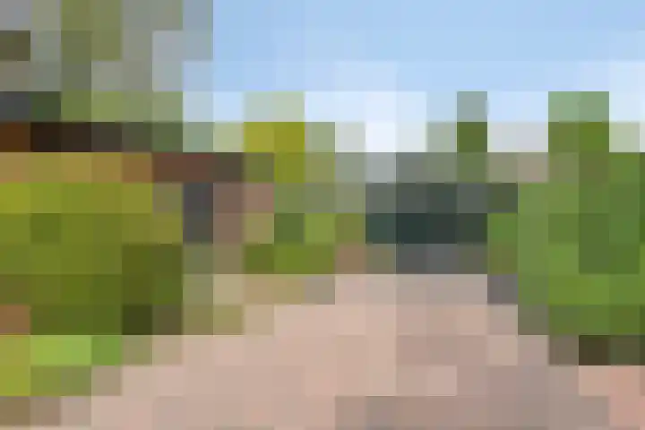 Wilhelminalaan 8 Harfsen thumbnail 36