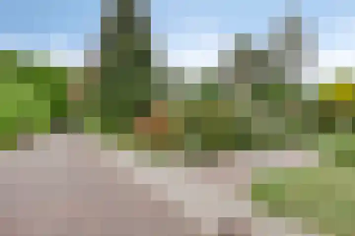 Wilhelminalaan 8 Harfsen thumbnail 37