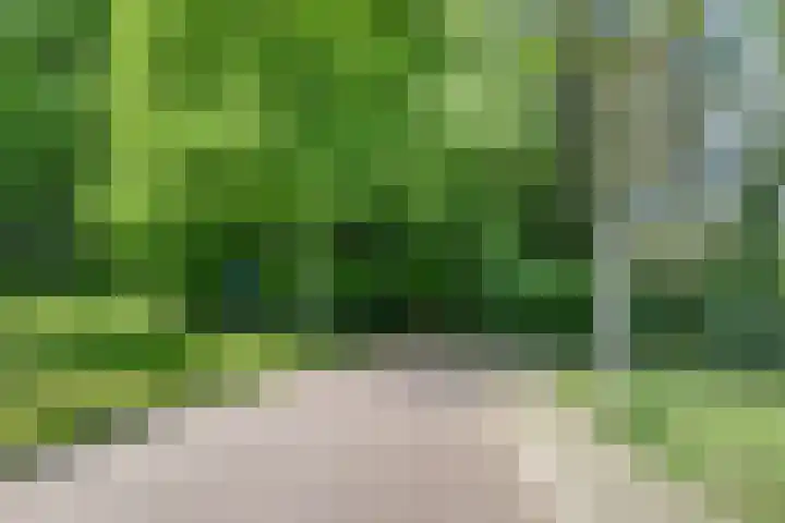 Wilhelminalaan 8 Harfsen thumbnail 38