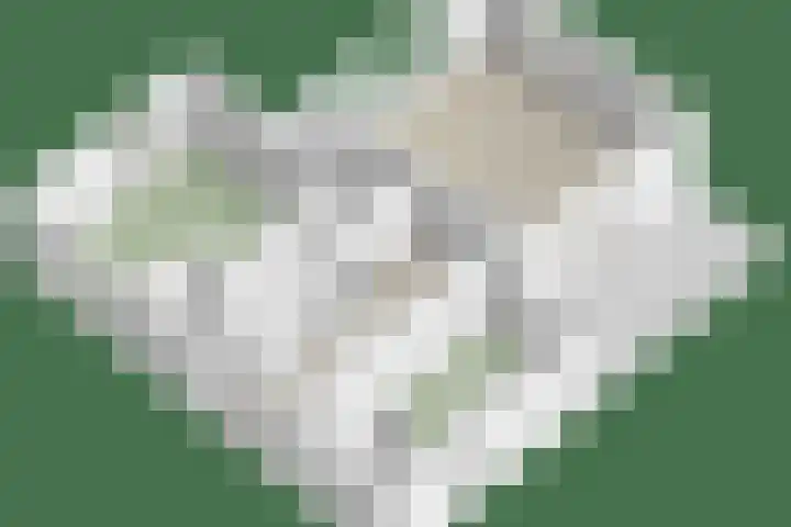 Wilhelminalaan 8 Harfsen thumbnail 42