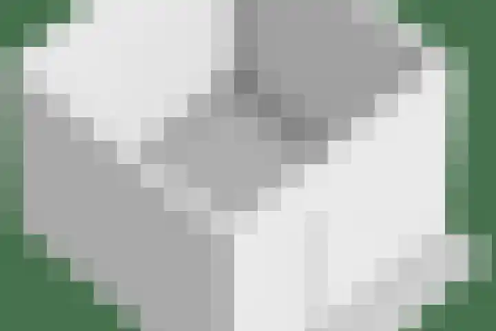 Wilhelminalaan 8 Harfsen thumbnail 44