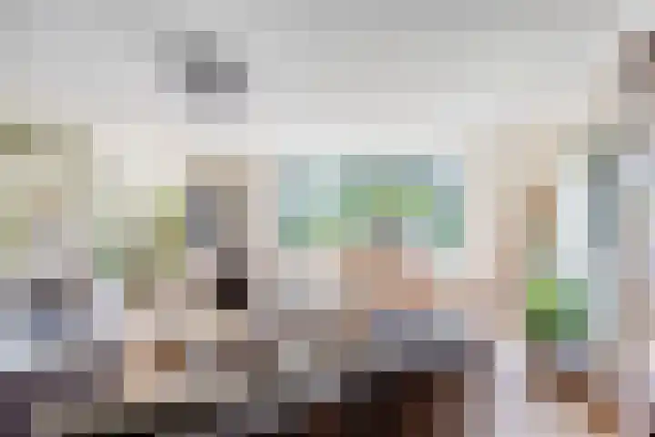 Wilhelminalaan 8 Harfsen thumbnail 6
