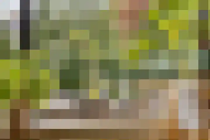 Wilhelminalaan 8 Harfsen thumbnail 7
