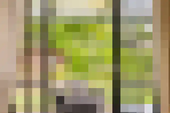 Wilhelminalaan 8 Harfsen thumbnail 9