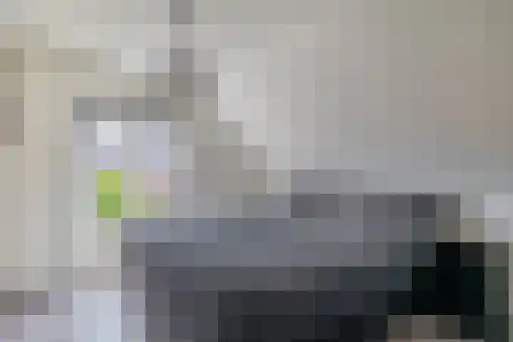 Wilhelminalaan 8 Muntendam thumbnail 25