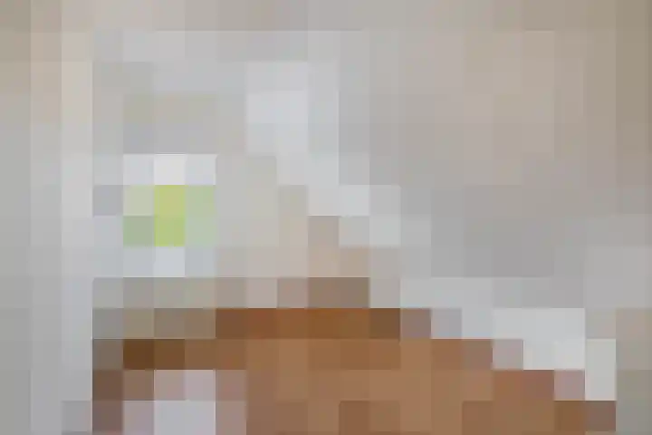 Wilhelminalaan 8 Muntendam thumbnail 28