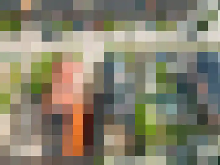Wilhelminalaan 8 Muntendam thumbnail 35
