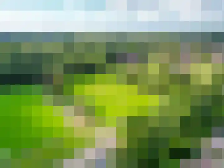 Wilhelminalaan 8 Muntendam thumbnail 40