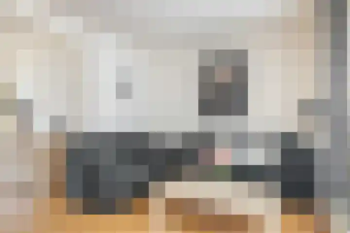 Wilhelminalaan 8 Reusel thumbnail 11