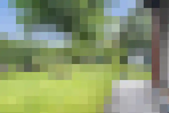Wilhelminalaan 8 Reusel thumbnail 30