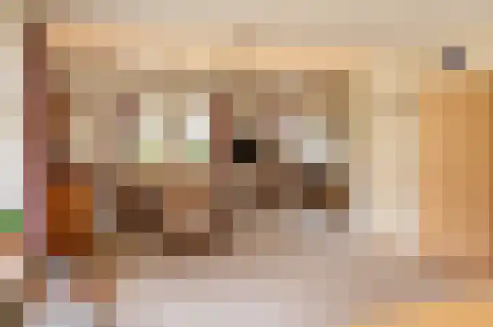 Wilhelminalaan 8 Vorden thumbnail 13