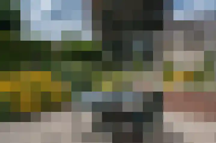 Wilhelminalaan 8 Vorden thumbnail 24