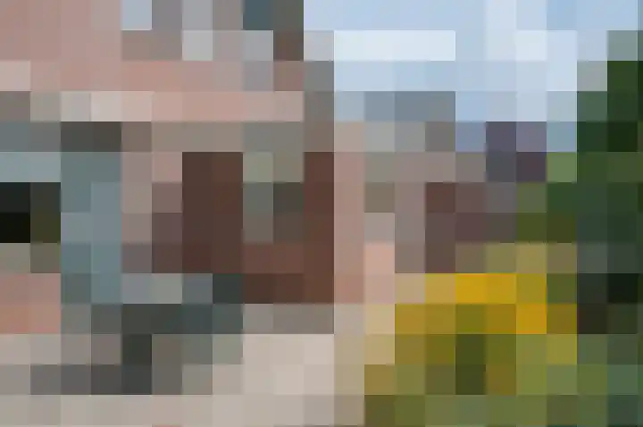 Wilhelminalaan 8 Vorden thumbnail 25