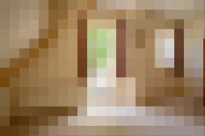 Wilhelminalaan 8 Vorden thumbnail 34