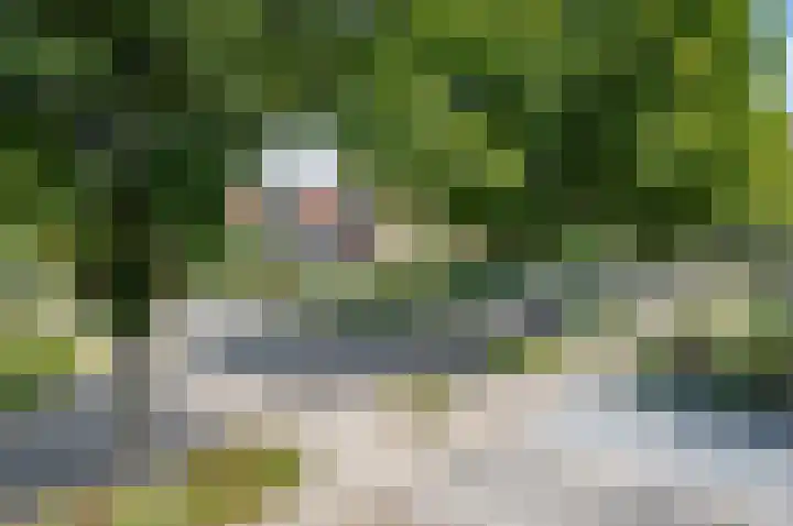 Wilhelminalaan 8 Vorden thumbnail 35
