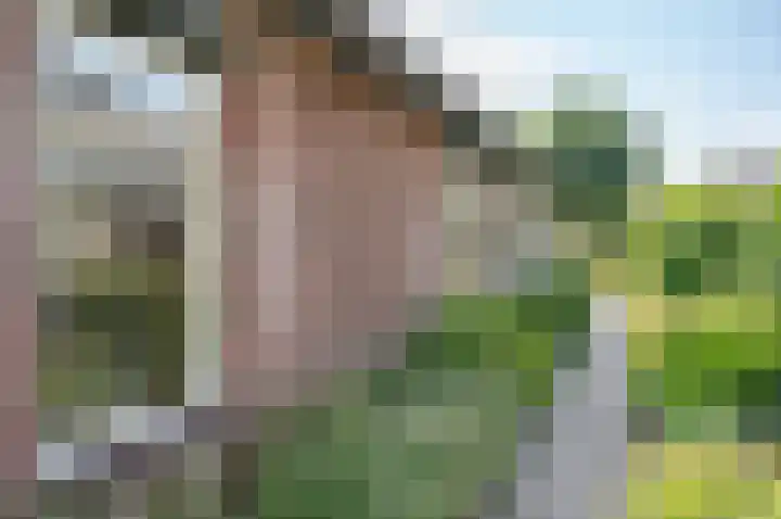 Wilhelminalaan 8 Vorden thumbnail 45