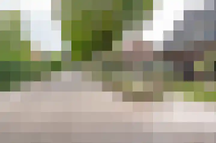 Wilhelminalaan 8 Vorden thumbnail 46