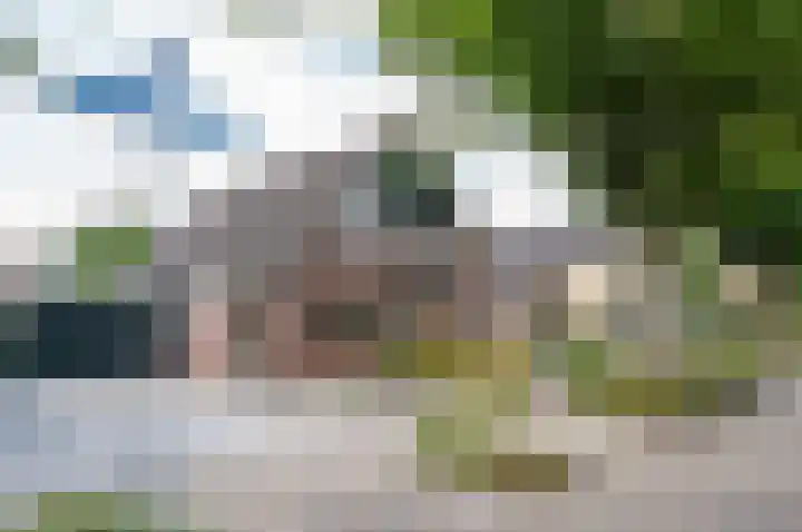 Wilhelminalaan 8 Vorden thumbnail 5