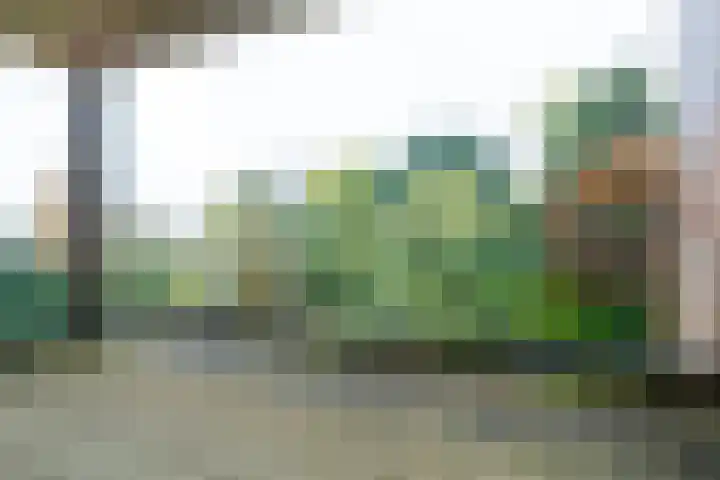 Wilhelminalaan 80 Zuidhorn thumbnail 4