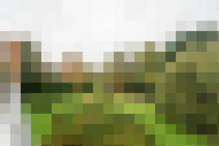 Wilhelminalaan 80 Zuidhorn thumbnail 5
