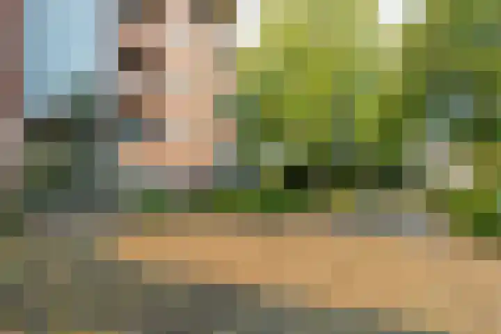 Wilhelminalaan 80 Zuidhorn thumbnail 8