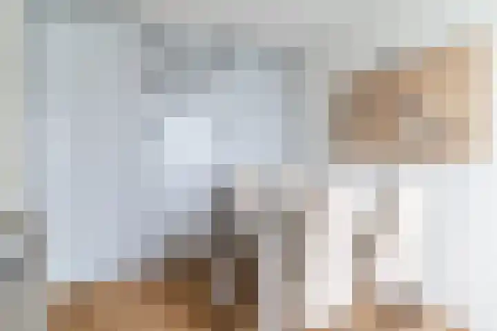 Wilhelminalaan 81 g Reusel thumbnail 17