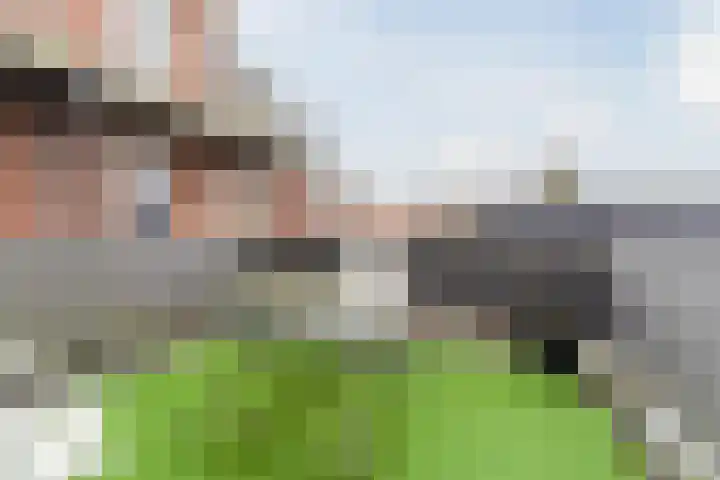 Wilhelminalaan 81 g Reusel thumbnail 21