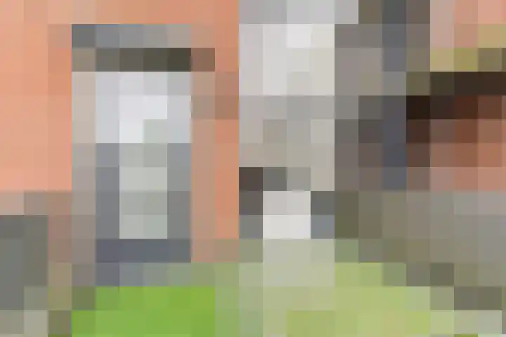 Wilhelminalaan 81 g Reusel thumbnail 22