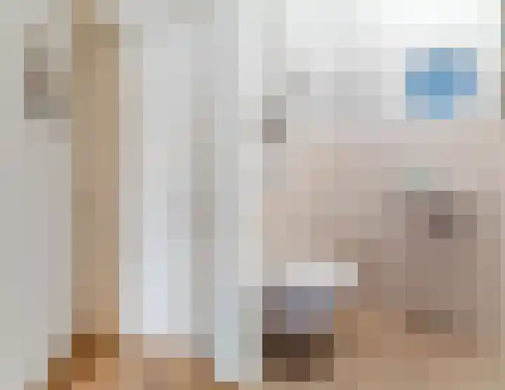 Wilhelminalaan 81 g Reusel thumbnail 5