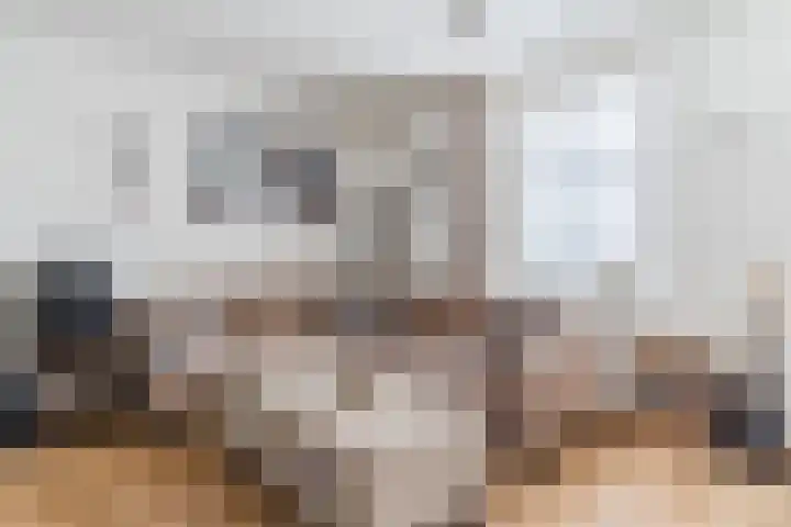 Wilhelminalaan 81 g Reusel thumbnail 6