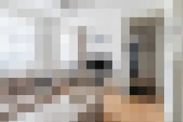 Wilhelminalaan 81 g Reusel thumbnail 7