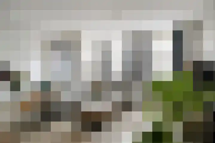Wilhelminalaan 81 k Reusel thumbnail 15