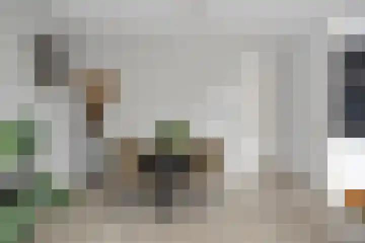 Wilhelminalaan 81 k Reusel thumbnail 16