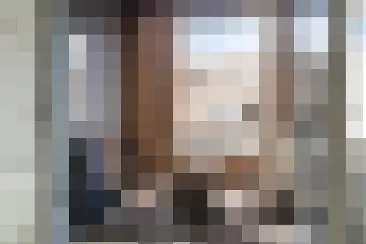 Wilhelminalaan 81 k Reusel thumbnail 5