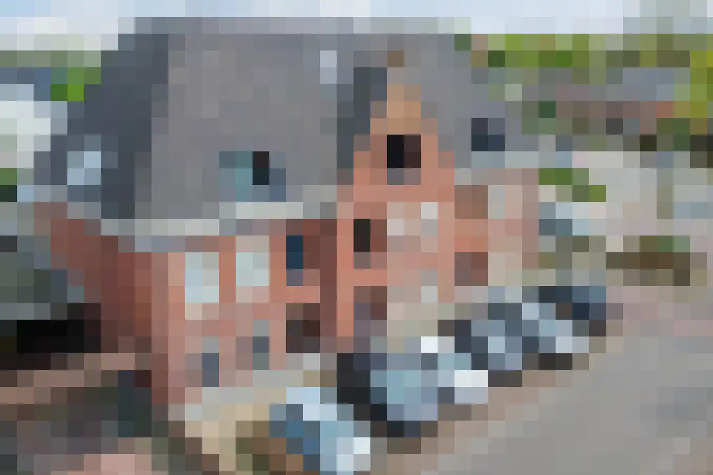 Wilhelminalaan 81 m Reusel thumbnail 27
