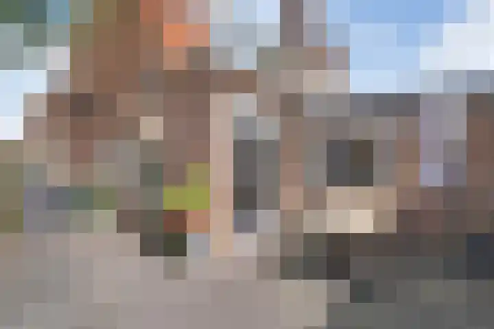 Wilhelminalaan 82 Kampen thumbnail 29