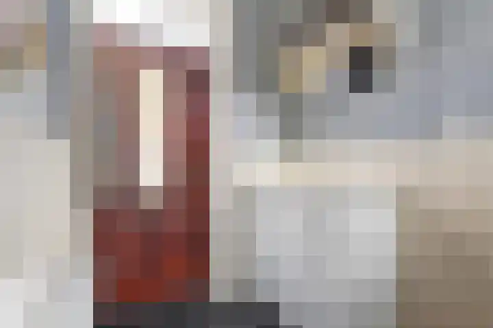 Wilhelminalaan 82 Kampen thumbnail 7