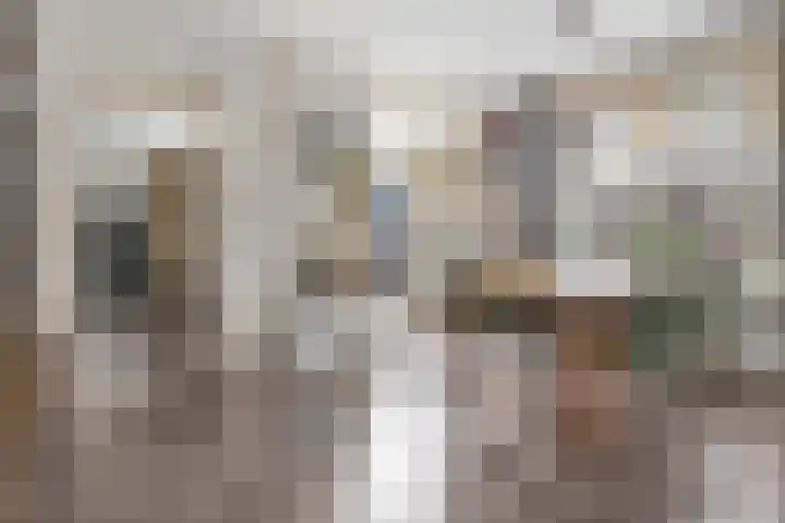 Wilhelminalaan 82 Kampen thumbnail 8