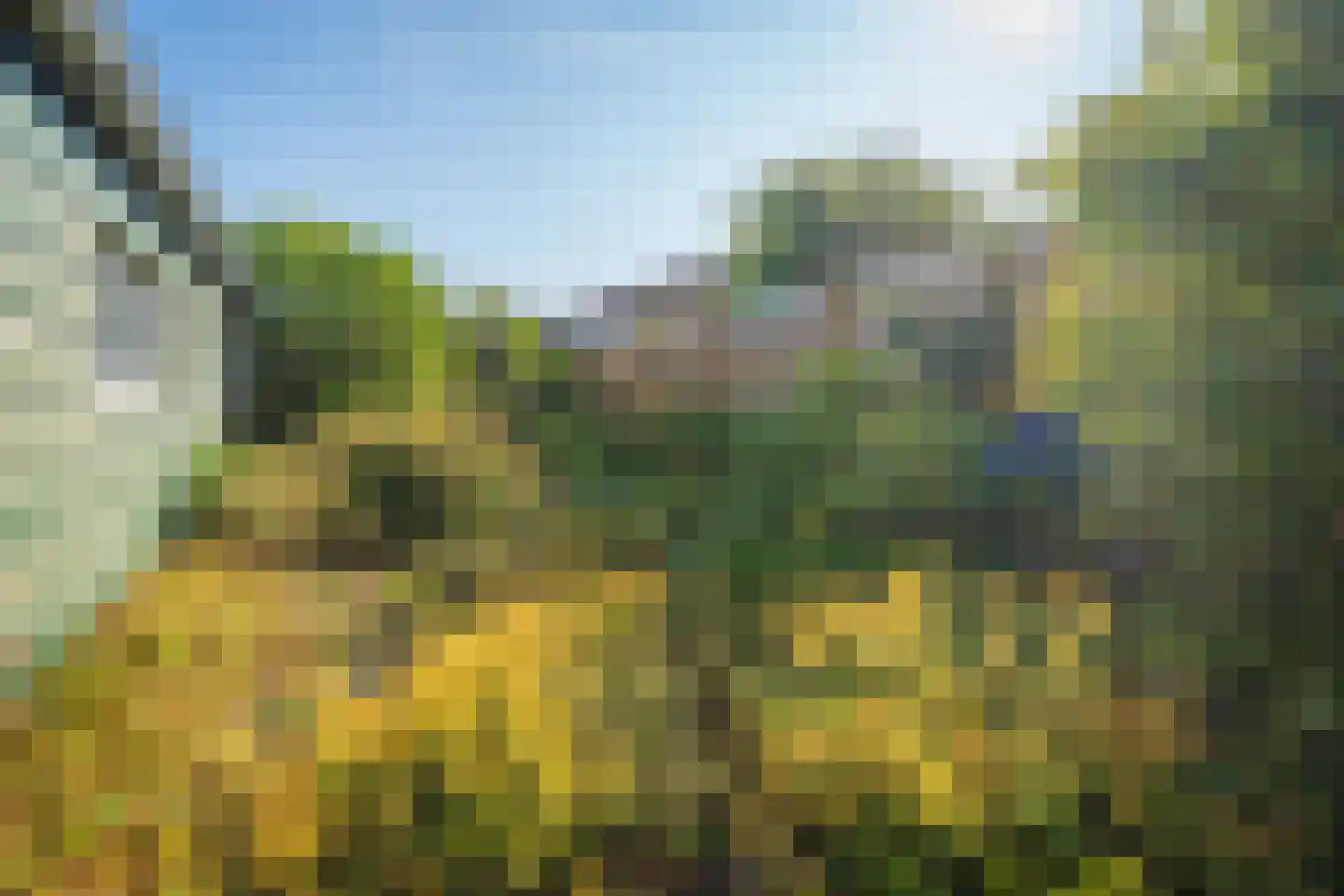 Wilhelminalaan 84 Den Burg thumbnail 9