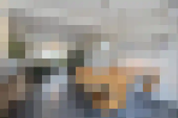 Wilhelminalaan 84 Etten-Leur thumbnail 15