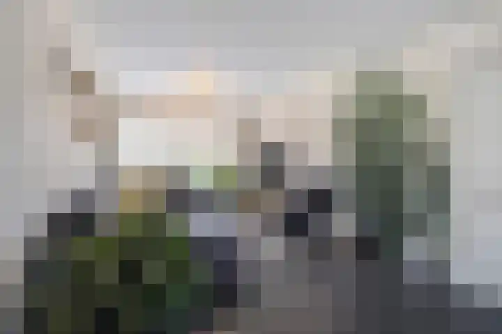 Wilhelminalaan 84 Etten-Leur thumbnail 8
