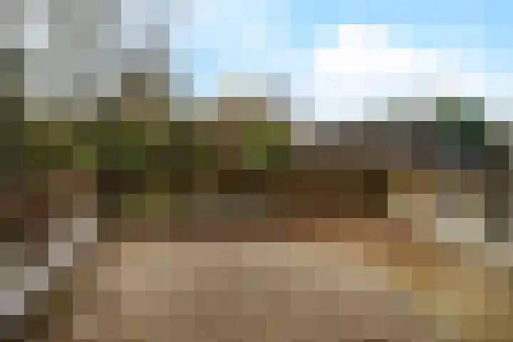 Wilhelminalaan 84 Reusel thumbnail 29